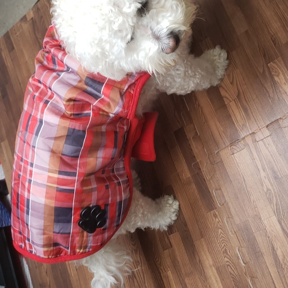 Bailey & Bella doggy Coat size S/M - Picture 6 of 13